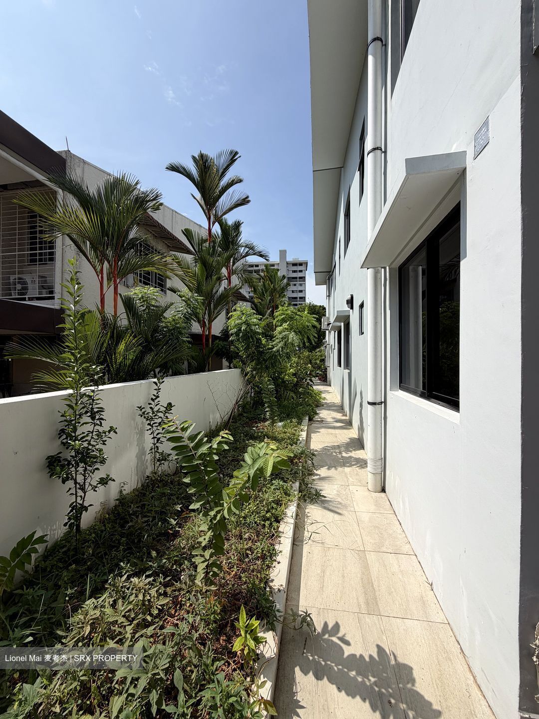 Jubilee Road (D5), Terrace #610551731